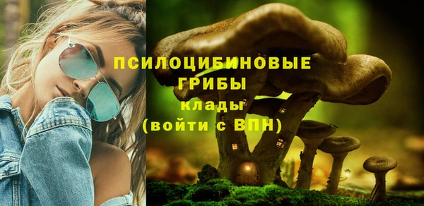 ПСИЛОЦИБИНОВЫЕ ГРИБЫ Заводоуковск